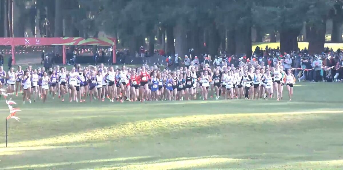 Large group of runners starting cross-country race