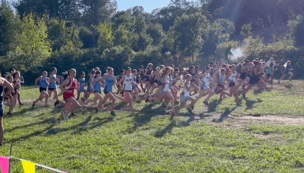 Cross-country runners starting race on grassy field