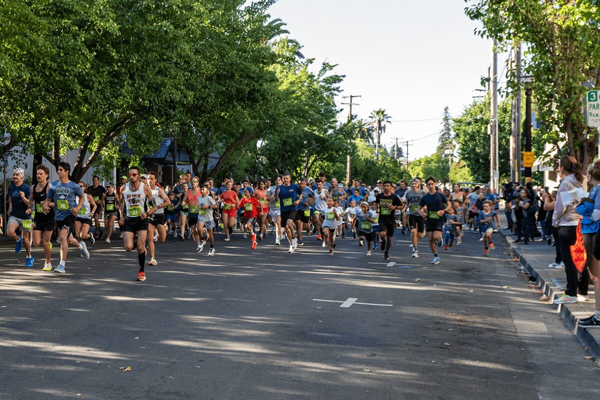 Crowd of runners in city road race