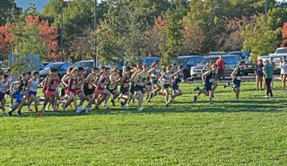 Group of runners starting cross-country race
