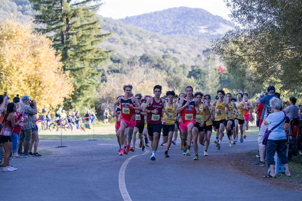 Cross-country runners starting race on trail