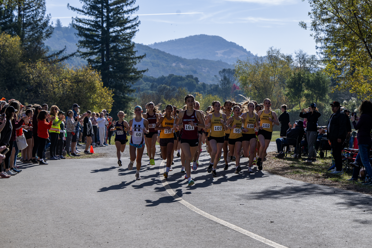 Cross-country runners racing on mountain road