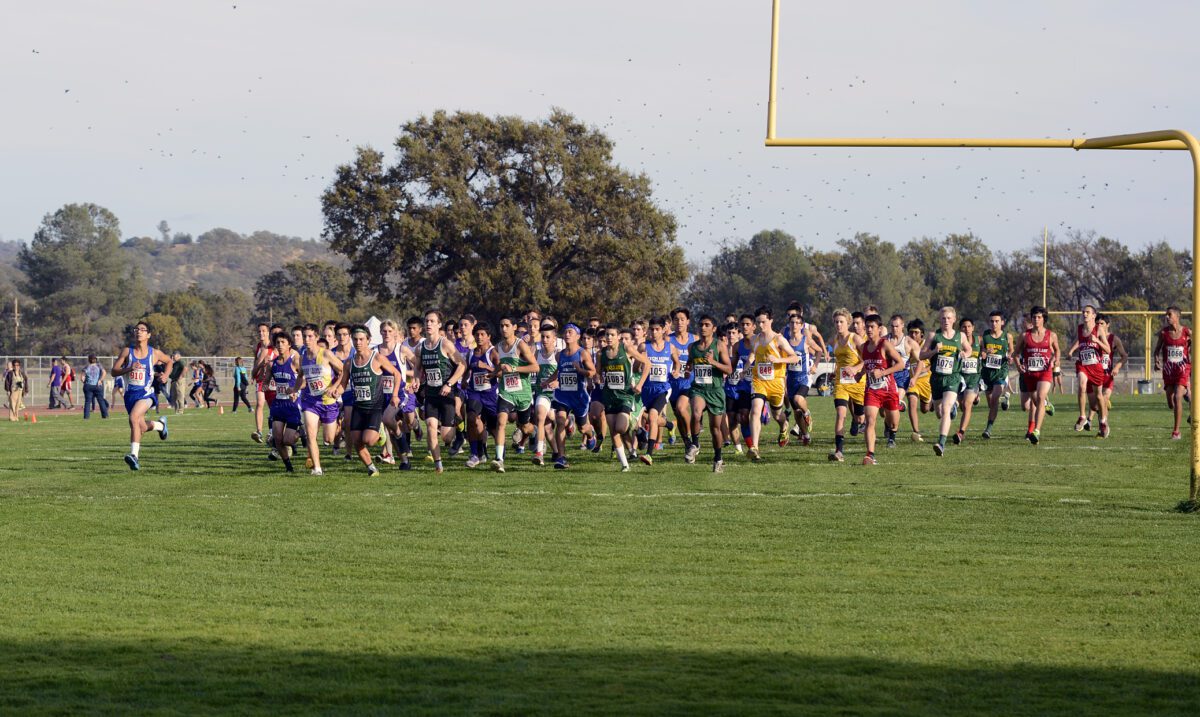 Large group of cross country runners starting