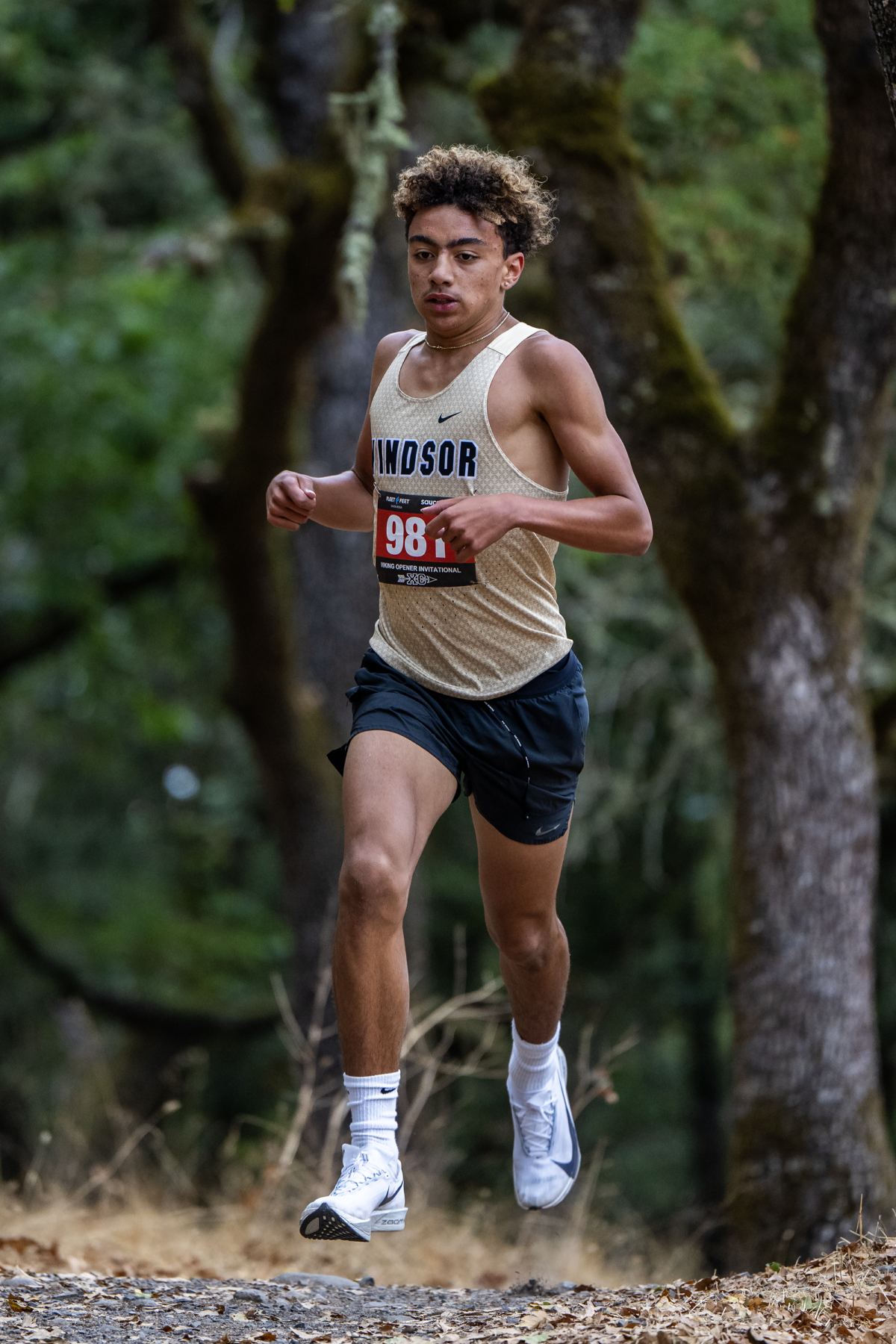Runner in mid-stride during a forest trail race.