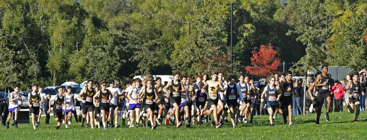 Crowd of cross-country runners starting race